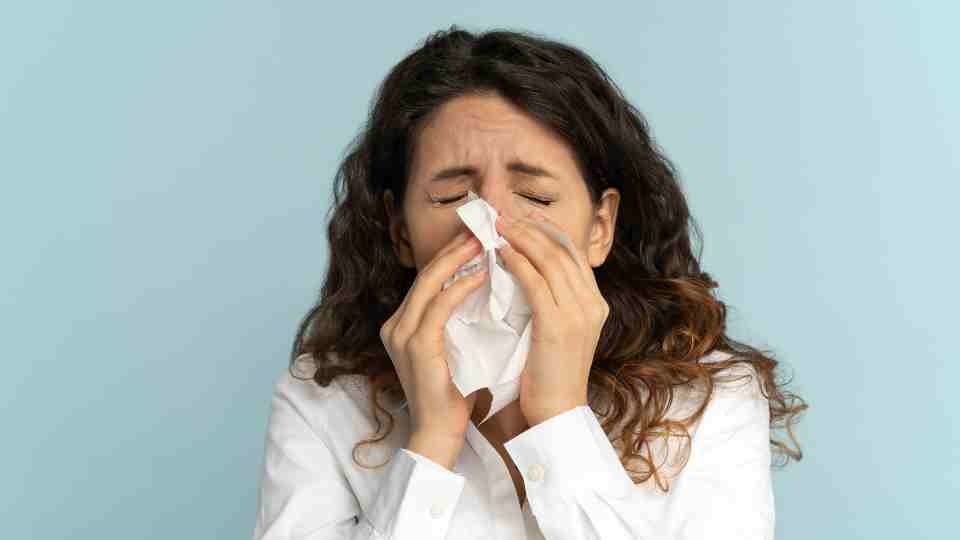 Your Guide to Hay Fever Tablets
